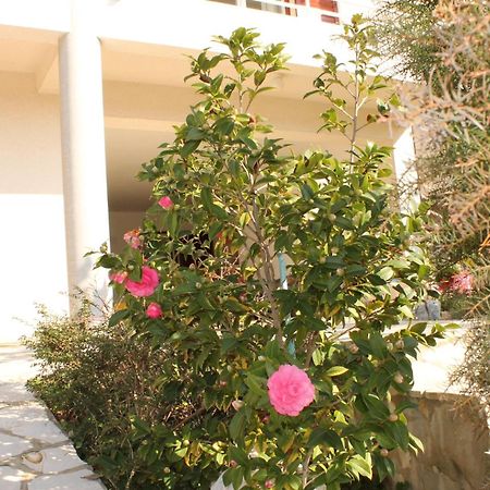 Apartments Vila Marica 라벡 외부 사진